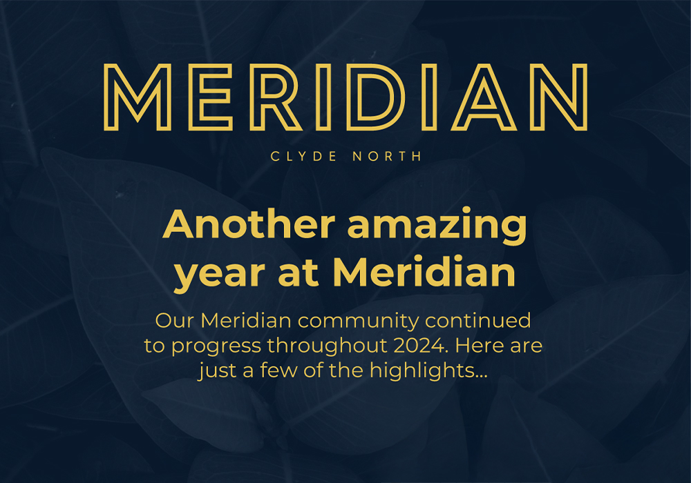 Meridian Year That Was